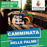 melzo camminata palme