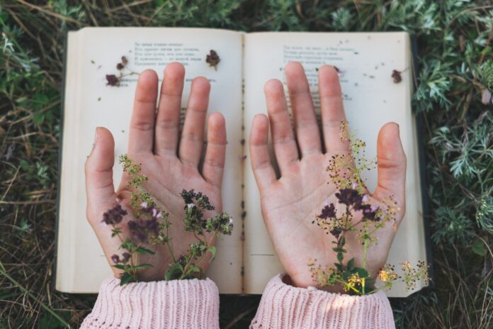 Women's hands with wild flowers on open book on grass, love to read