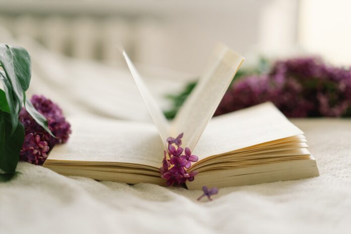 Still life details in home interior of living room. Lilac and open book