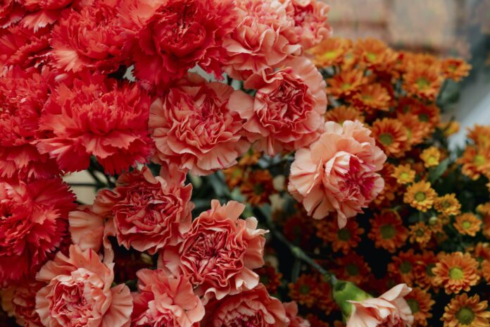 Bunches of orange flowers in a flower shop