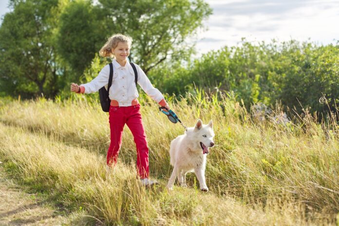 dog plogging